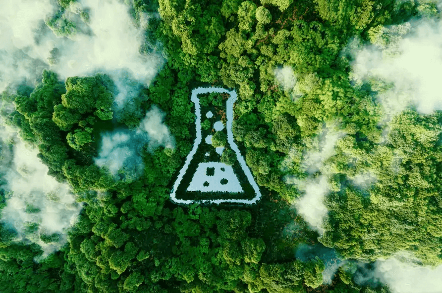 Carbon Footprint